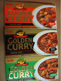 Food-Curry