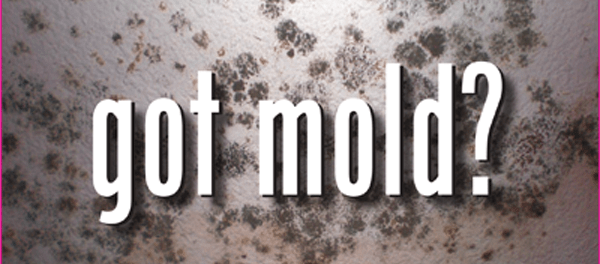 got-mold_636178156910652611