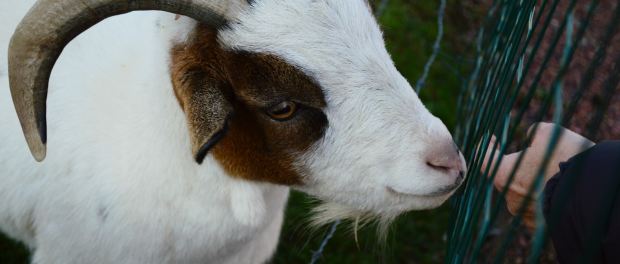 laura-dewilde-oX5M1mxFe4U-unsplash