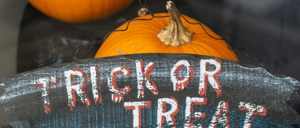 Photo by Nick Fewings