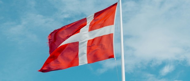 Photo by Markus Winkler Photo by Markus Winkler