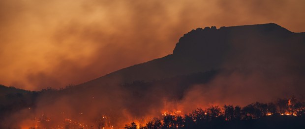 Photo by Matt Palmer Photo by Matt Palmer